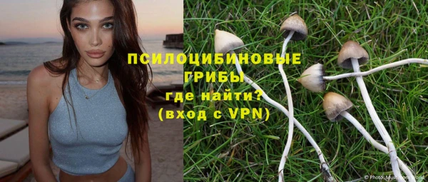 гидропоника Абаза